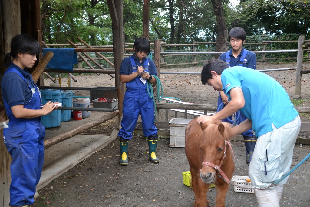 群馬サファリパーク宿泊実習☆エコ・コミュニケーション科動物園・動物飼育専攻