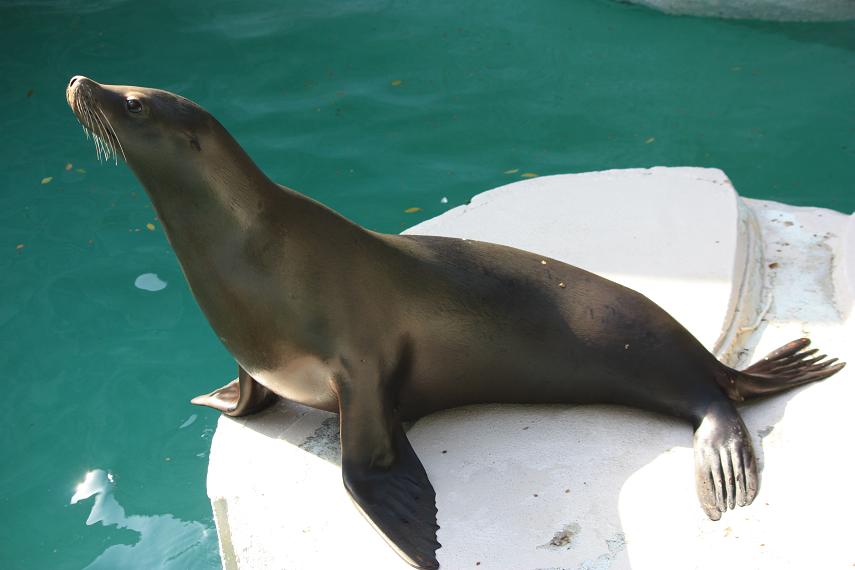 水族館の引っ越し☆エコ・コミュニケーション科