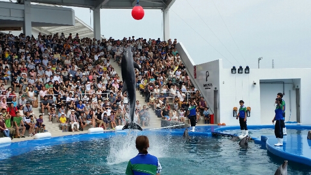 仙台うみの杜水族館☆卒業生頑張っています♪