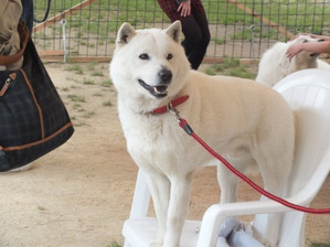 ふれあい動物園