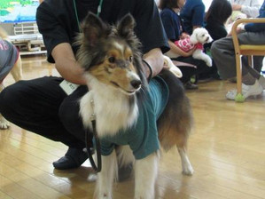 学校犬を連れてセラピー活動　～１年生もデビューしました～