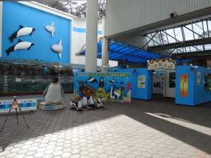 水族館ガイドのお仕事☆エコ・コミュニケーション科